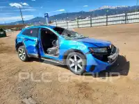 2024 Honda  фото