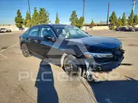 2024 Honda CIVIC photo