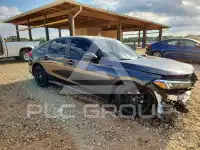 2024 Honda CIVIC photo