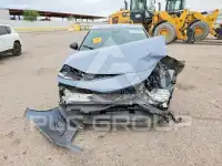 2024 Honda CIVIC фото