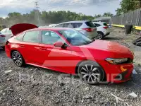 2024 Honda CIVIC photo