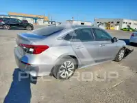 2024 Honda CIVIC фото