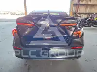 2024 Honda CIVIC фото