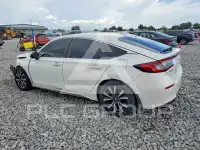 2024 Honda CIVIC photo