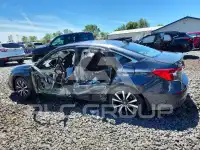 2024 Honda CIVIC фото