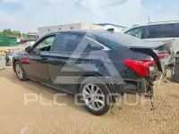 2024 Honda CIVIC фото