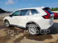 2024 Honda CR-V photo