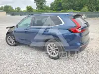 2024 Honda CR-V photo