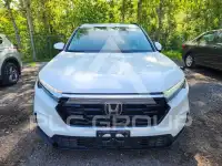 2024 Honda CR-V photo