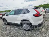2024 Honda CR-V фото