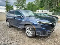 2024 Honda CR-V photo