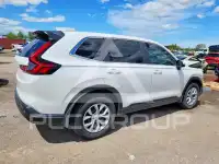 2024 Honda CR-V фото