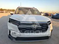 2024 Honda PILOT photo