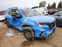 2024 Honda PILOT фото