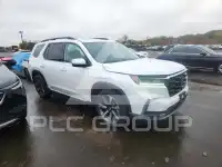 2024 Honda PILOT фото