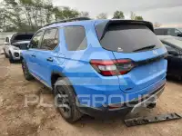 2024 Honda PILOT фото