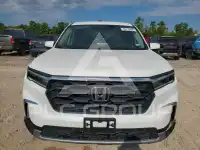2024 Honda PILOT фото