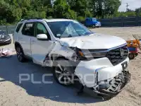 2024 Honda PILOT photo