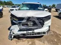 2024 Honda PILOT photo