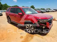 2024 Honda PILOT фото