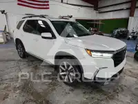 2024 Honda PILOT photo