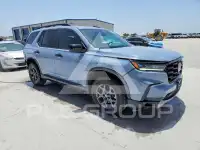 2024 Honda PILOT фото