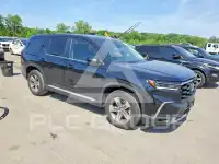 2024 Honda PILOT photo