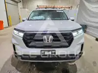 2024 Honda PILOT фото
