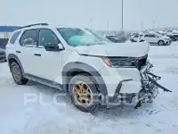 2024 Honda PILOT фото