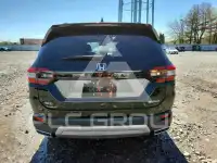 2024 Honda PILOT фото