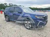 2024 Honda PILOT фото