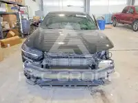 2024 Honda Accord фото