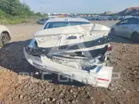 2024 Honda Accord photo