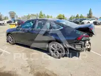 2024 Honda Accord photo