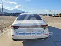 2024 Honda Accord photo