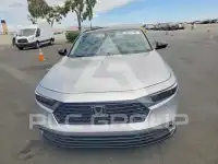 2024 Honda Accord photo