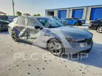 2024 Honda Accord photo