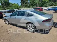 2024 Honda Accord photo