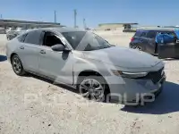 2024 Honda Accord photo