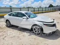 2024 Honda Accord photo