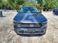 2024 Honda Accord photo