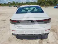 2024 Honda Accord photo