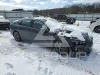 2024 Honda Accord фото