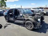 2024 Honda Accord фото