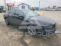 2024 Honda Accord фото