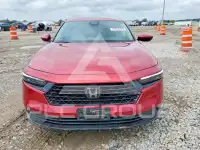 2024 Honda Accord фото