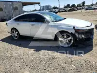 2024 Honda Accord photo