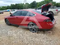 2024 Honda Accord photo