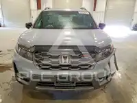 2024 Honda PASSPORT photo