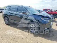 2024 Honda PASSPORT photo